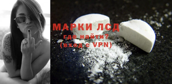 трава Аркадак