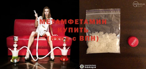 трава Аркадак
