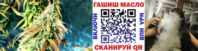 Купить где  Богородск  ТГК концентрат 